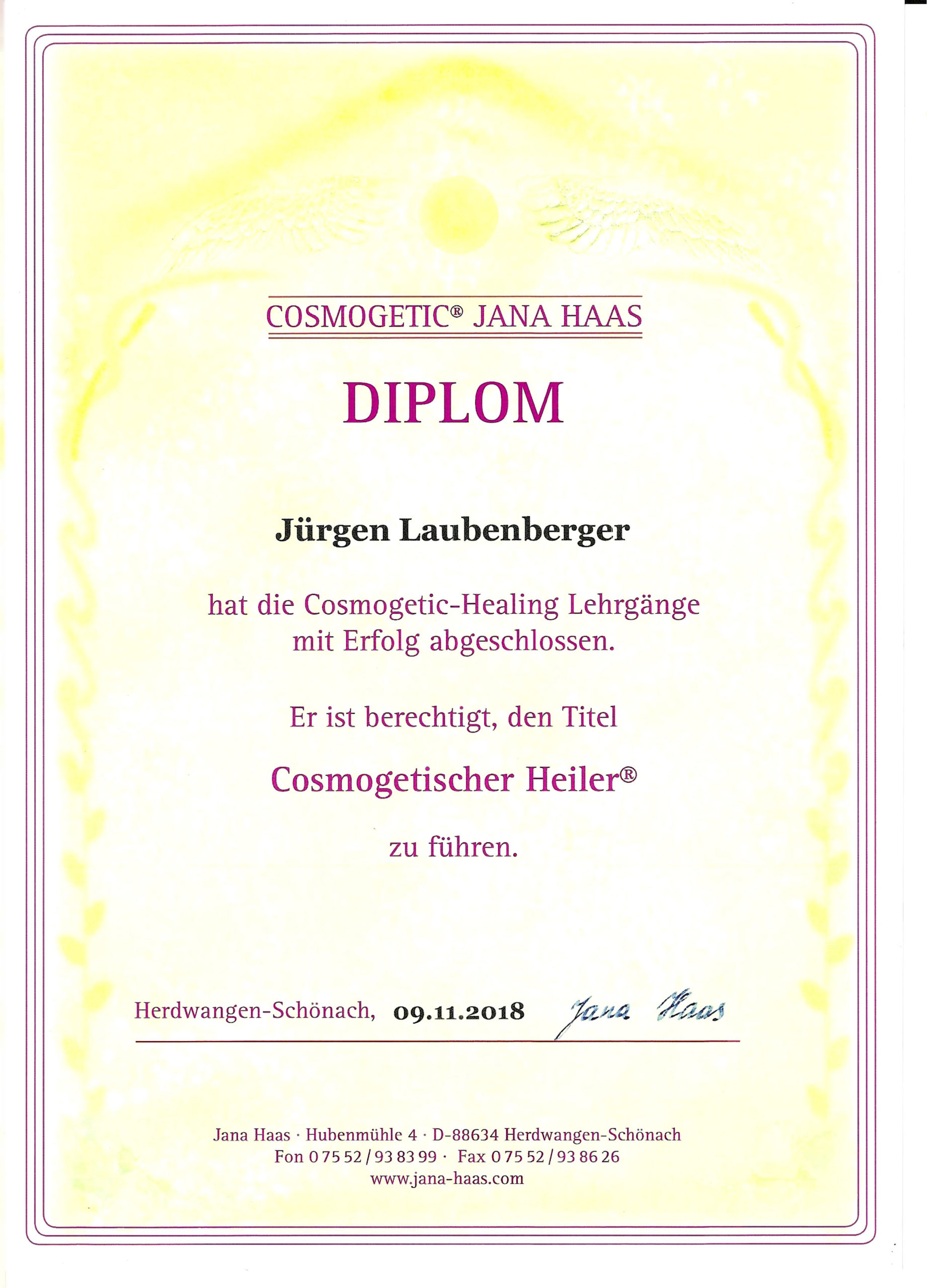 Cosmogetic Healer - Jürgen Laubenberger